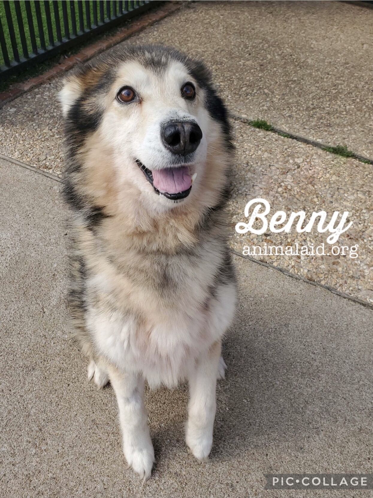 Benny